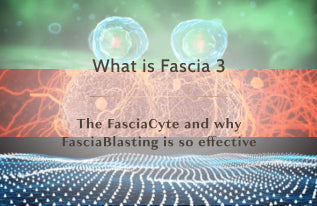 Ashley Black Related Post