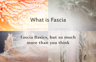 Ashley Black Related Post