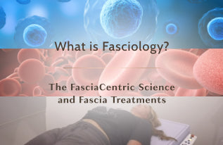 Ashley Black Related Post